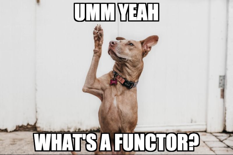 whats a functor.jpg