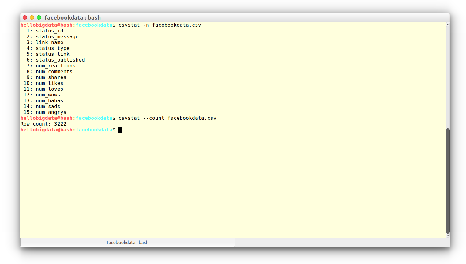 facebookdata.csv 统计信息(使用 csvstat)